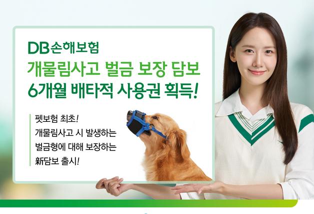 개물림사고 벌금 보장…DB손보, 펫보험 6개월 배타적 사용권 획득