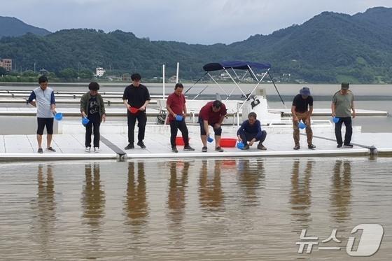 충주시, 충주호에 뱀장어 치어 1만6000마리 방류
